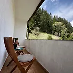 Triibria
