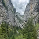 Triibria Trigrad
