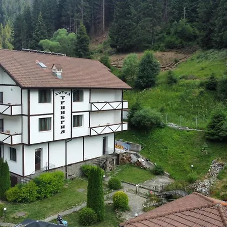 Guest house Triibria *