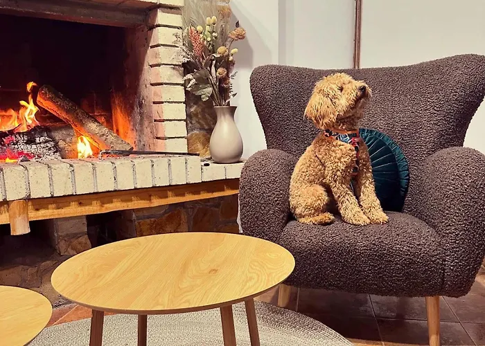 Guest house Triibria