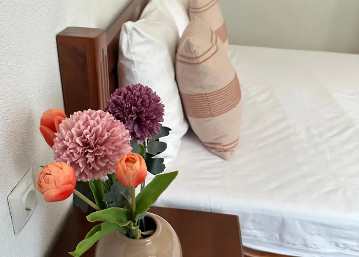 Triibria Guest house