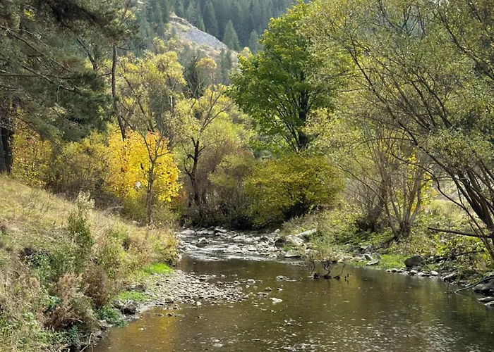 Triibria Guest house